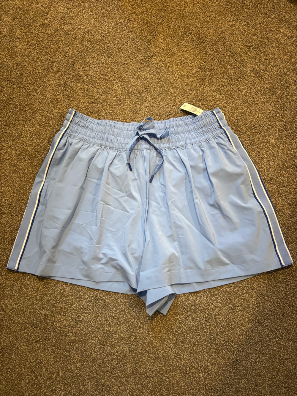 aerie BNWT Light Blue Athletic Drawstring Shorts with Side Stripe
